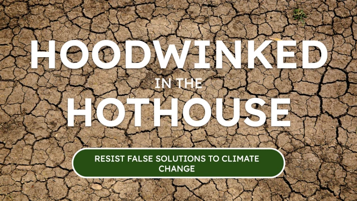 Hoodwinked in the Hothouse - False Solutions to Climate Change 3rd ed.